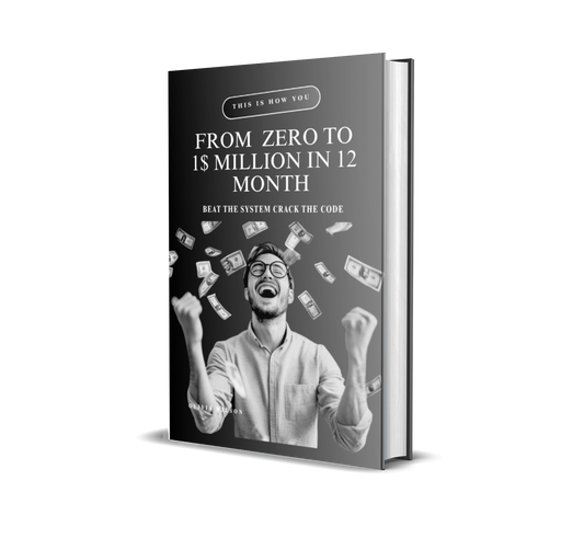 From  Zero to 1$ Million in 12 Month
