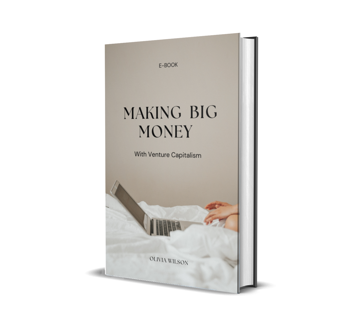 💼Making  Big Money with Venture Capitalism