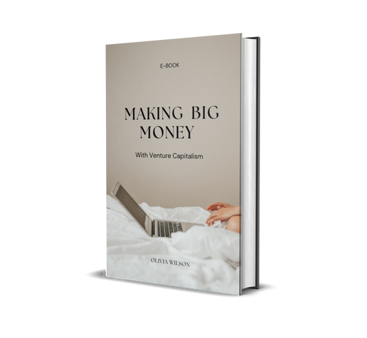 💼Making  Big Money with Venture Capitalism