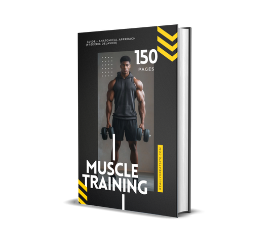 💪 Muscle Training Guide – Anatomical Approach
