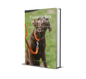 Training Rex in the City: A Step-by-Step Obedience Guide for Every Dog Owner